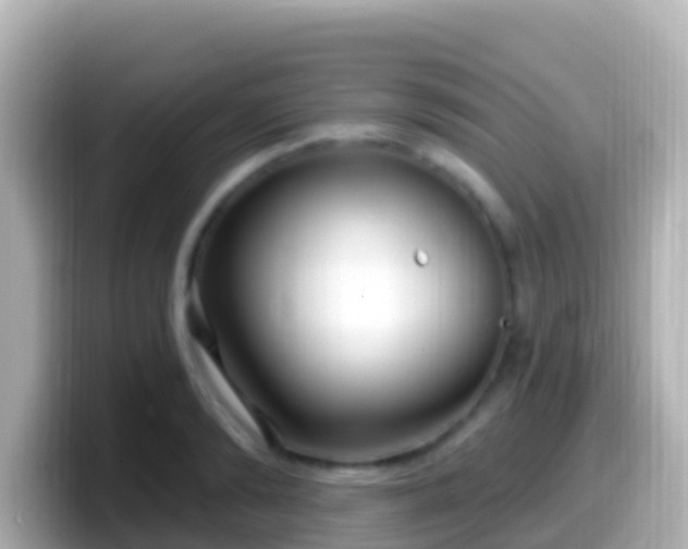 X0000099580894200805231548