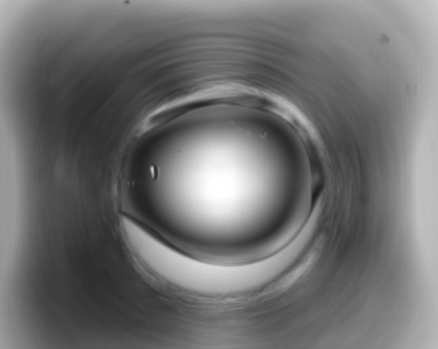 X0000099580897200805231548