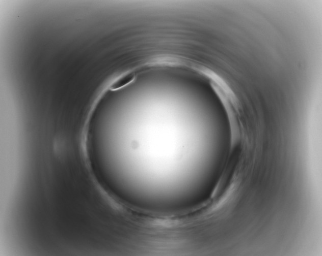X0000099580901200805231548