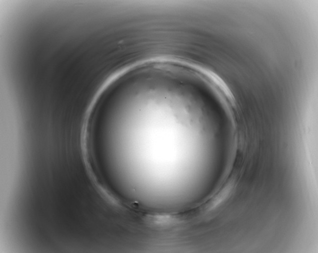 X0000099580903200805231548