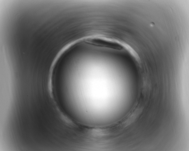 X0000099580904200805231548