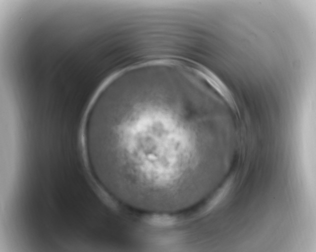 X0000099580907200805231548