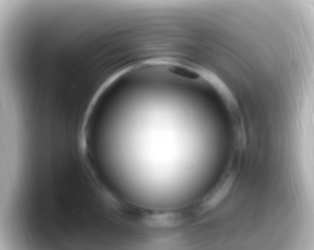 X0000099580908200805231548