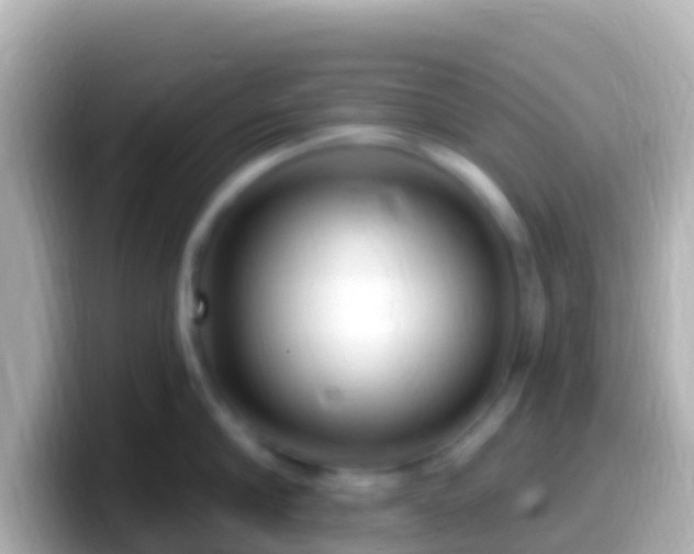 X0000099580910200805231548