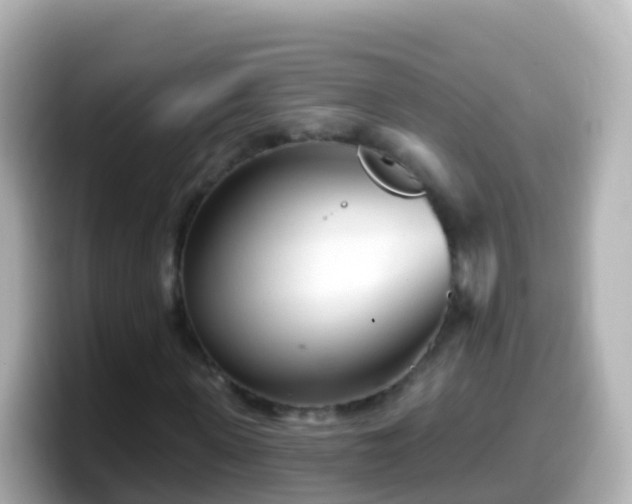 X0000099580915200805231547