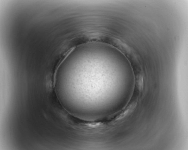 X0000099580916200805231547