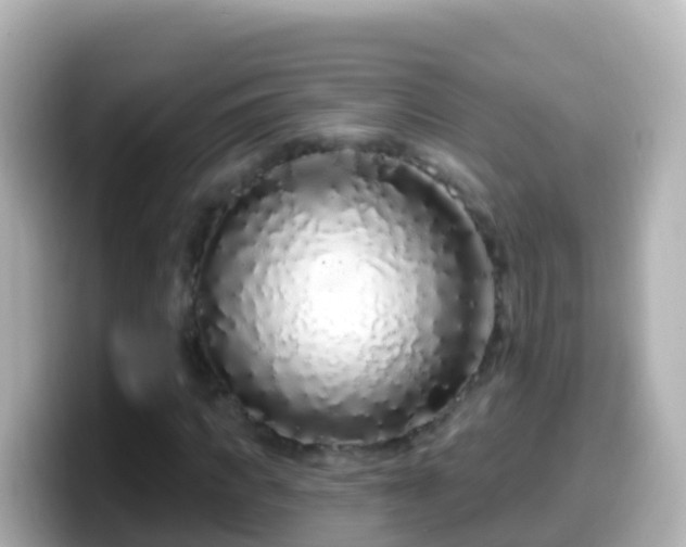 X0000099580917200805231547