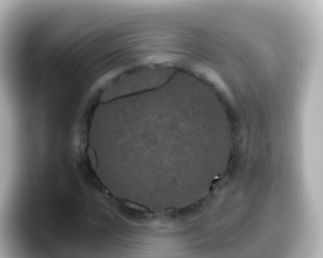 X0000099580920200805231548