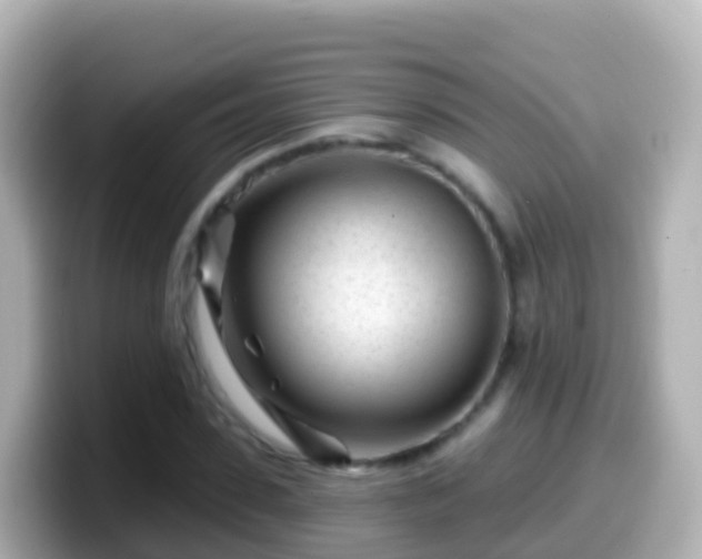 X0000099580923200805231548