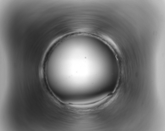 X0000099580924200805231548