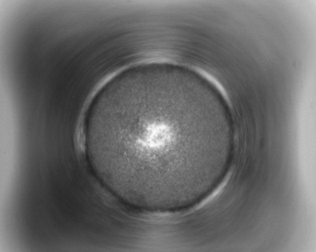 X0000099580925200805231548