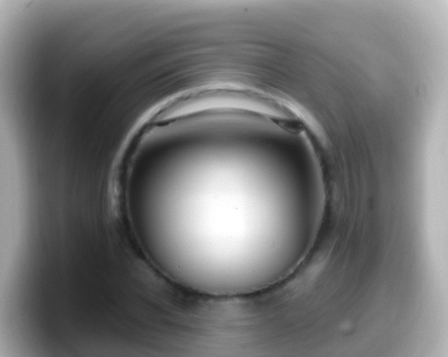 X0000099580926200805231548