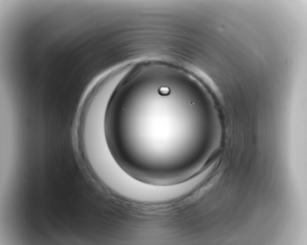 X0000099580928200805231548