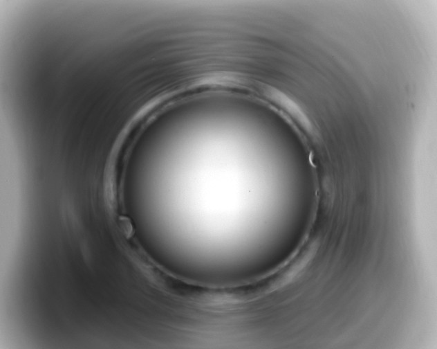 X0000099580931200805231548