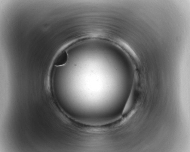 X0000099580932200805231548
