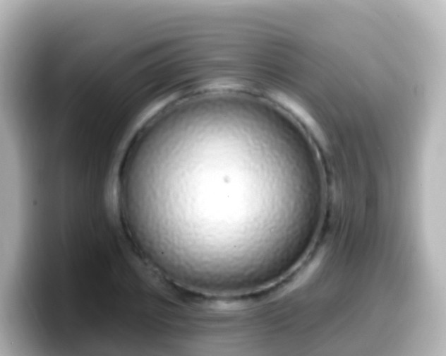 X0000099580933200805231548