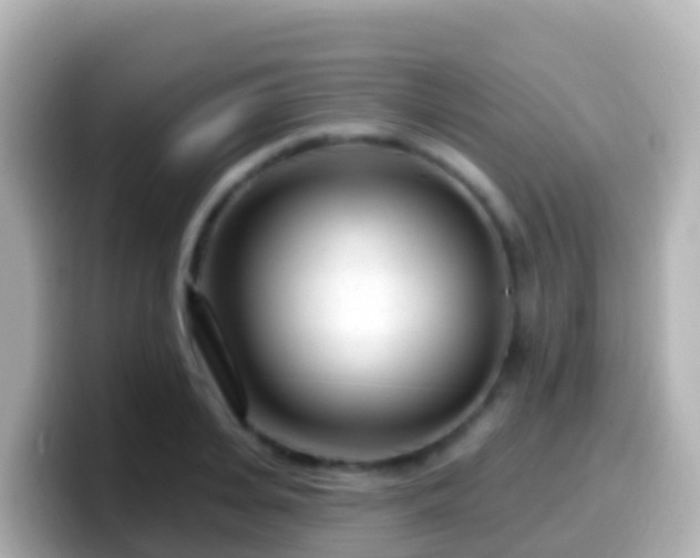 X0000099580935200805231548