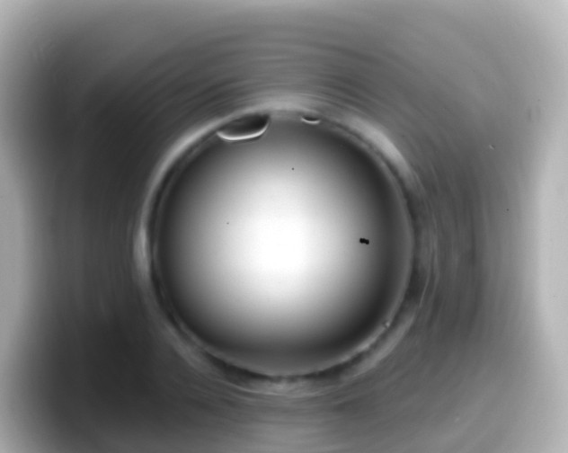 X0000099580936200805231548