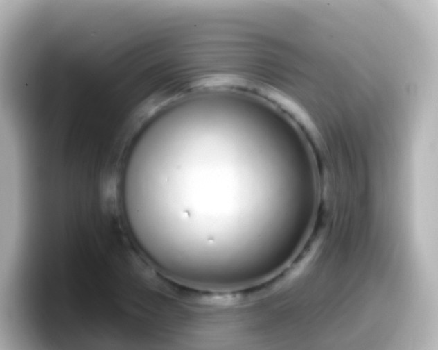 X0000099580937200805231548