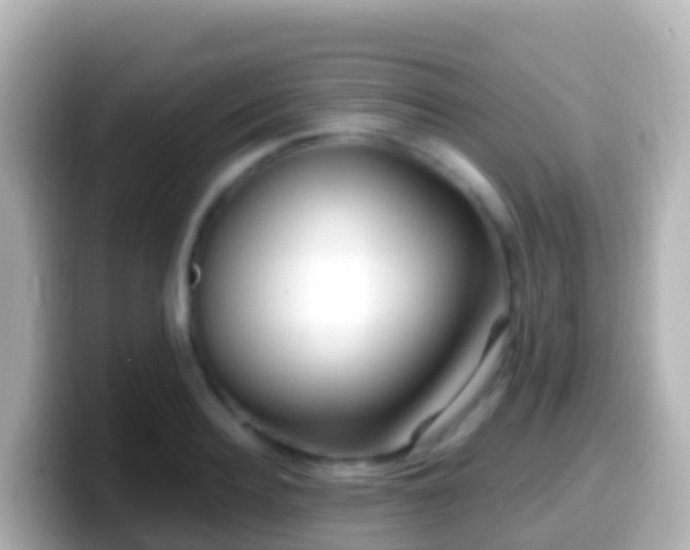 X0000099580940200805231548