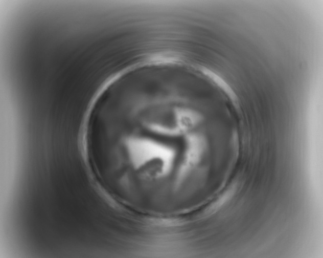 X0000099580941200805231548