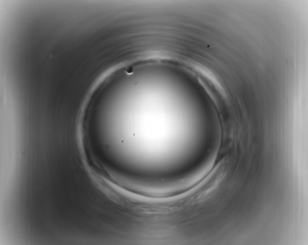 X0000099580942200805231548