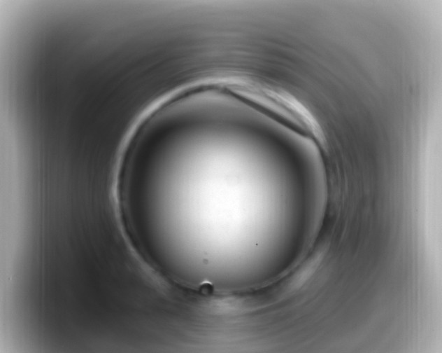X0000099580943200805231548