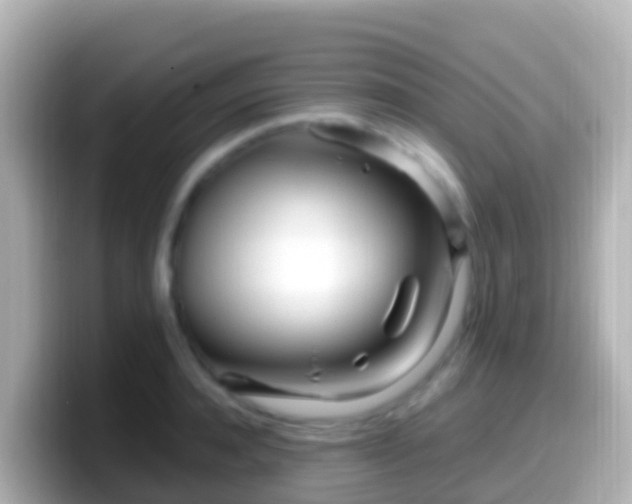 X0000099580944200805231548