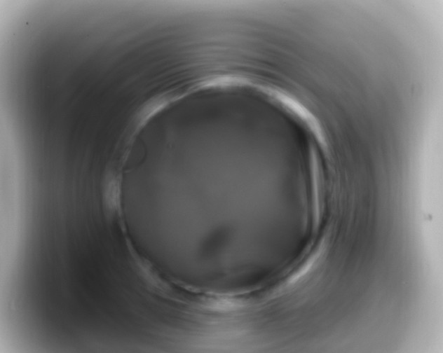 X0000099580945200805231548