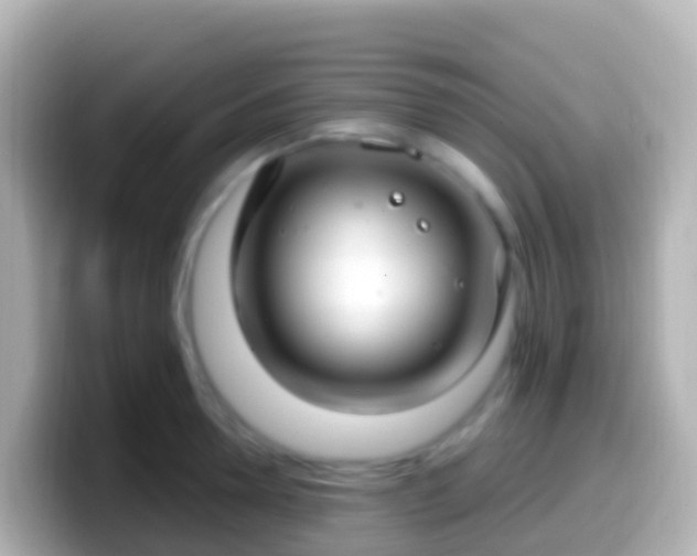 X0000099580946200805231548
