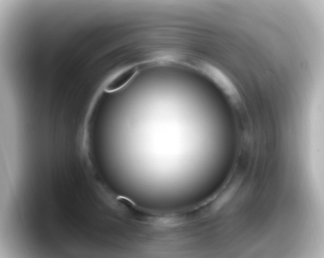 X0000099580948200805231548