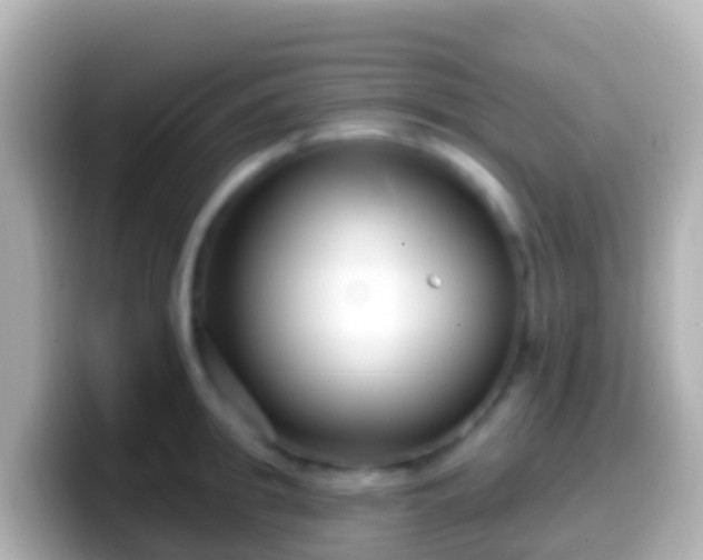 X0000099580949200805231548
