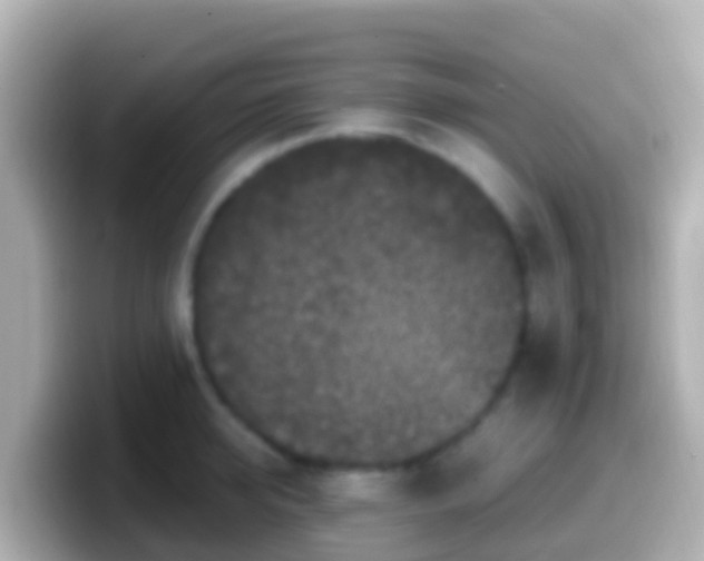 X0000099580950200805231548