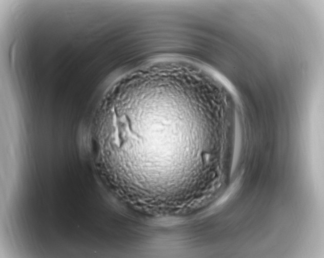 X0000099580953200805231548