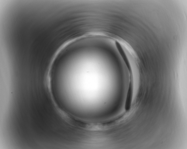 X0000099580955200805231548