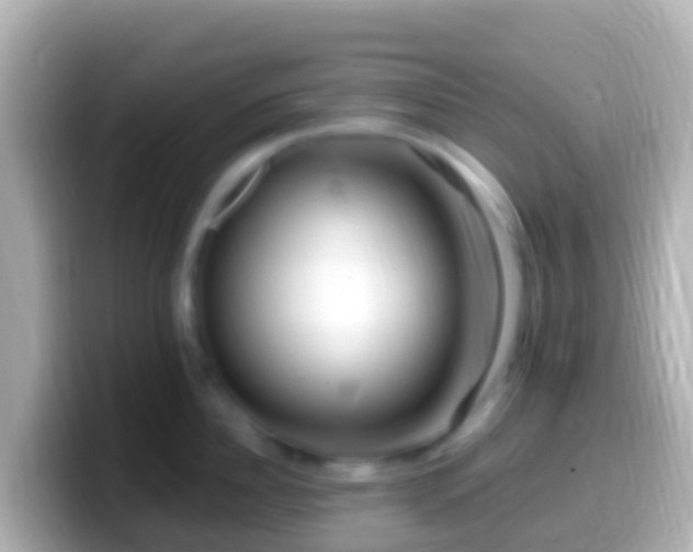 X0000099580956200805231548