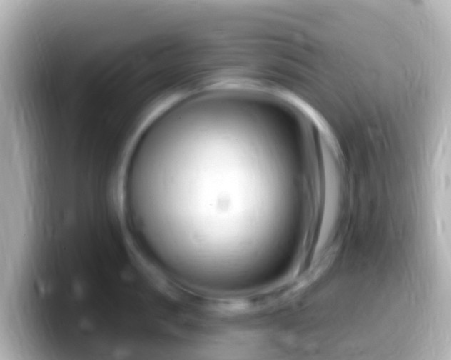 X0000099580957200805231548