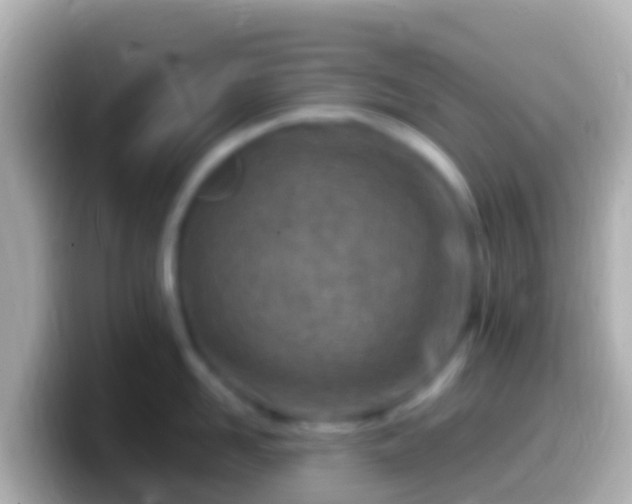 X0000099580958200805231548