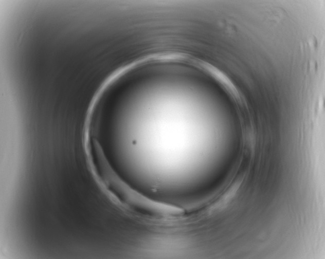 X0000099580959200805231548
