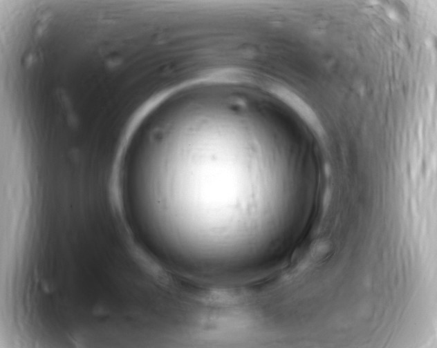X0000099580960200805231548