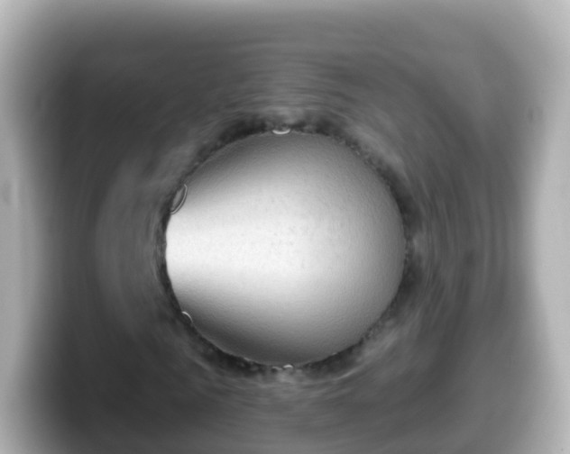 X0000099580961200805231547