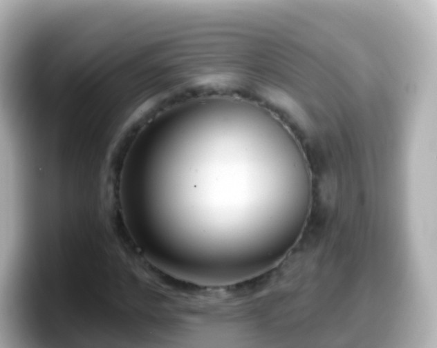 X0000099580968200805231547