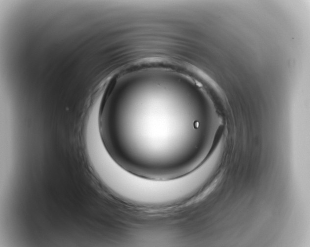 X0000099580969200805231547