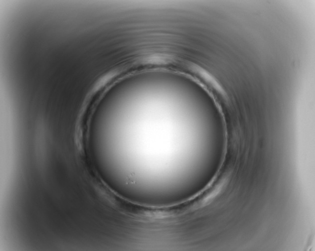 X0000099580970200805231547