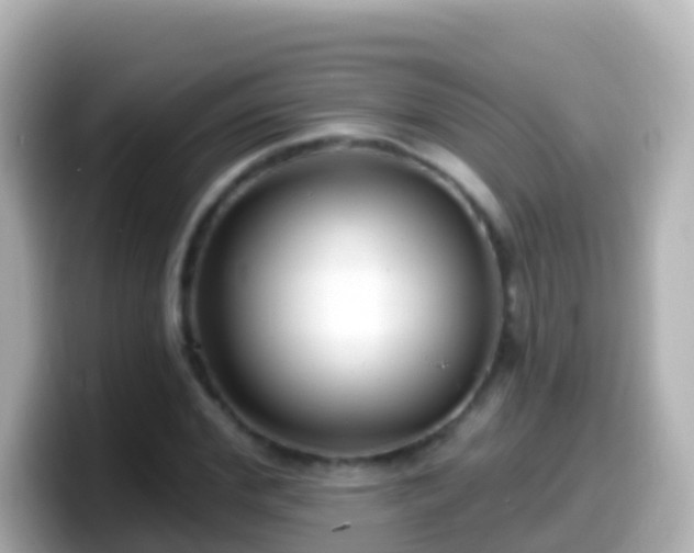 X0000099580972200805231547