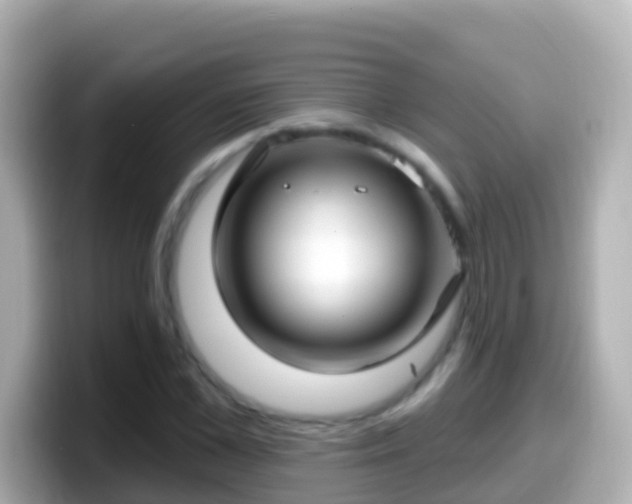 X0000099580973200805231547