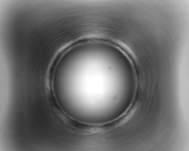 X0000099580974200805231547