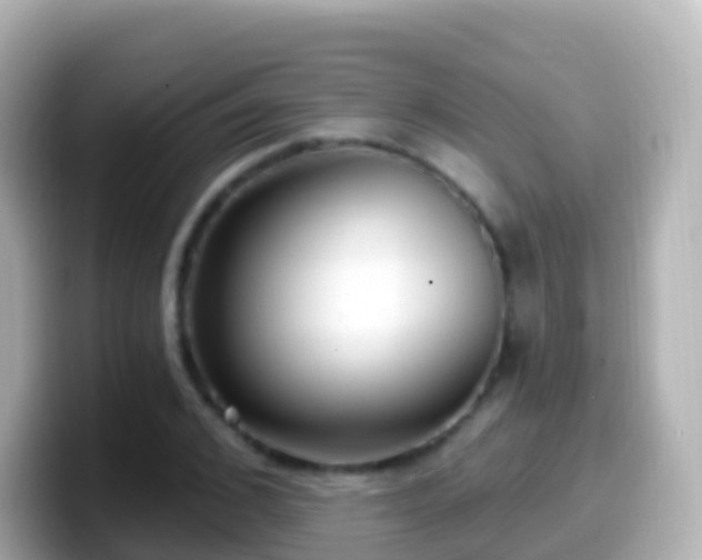 X0000099580976200805231547