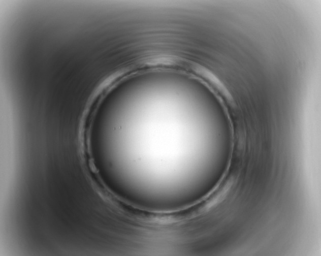 X0000099580978200805231547