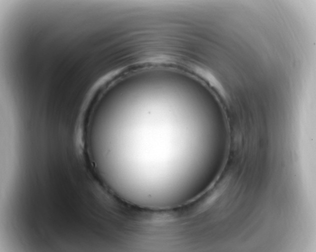 X0000099580979200805231547